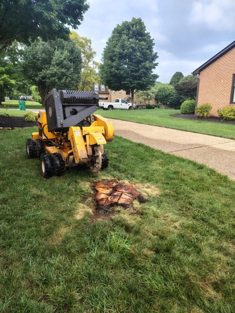 Reliable garden landscaping for year-round maintenance in Clinton, TN by LS Lawn and Stump