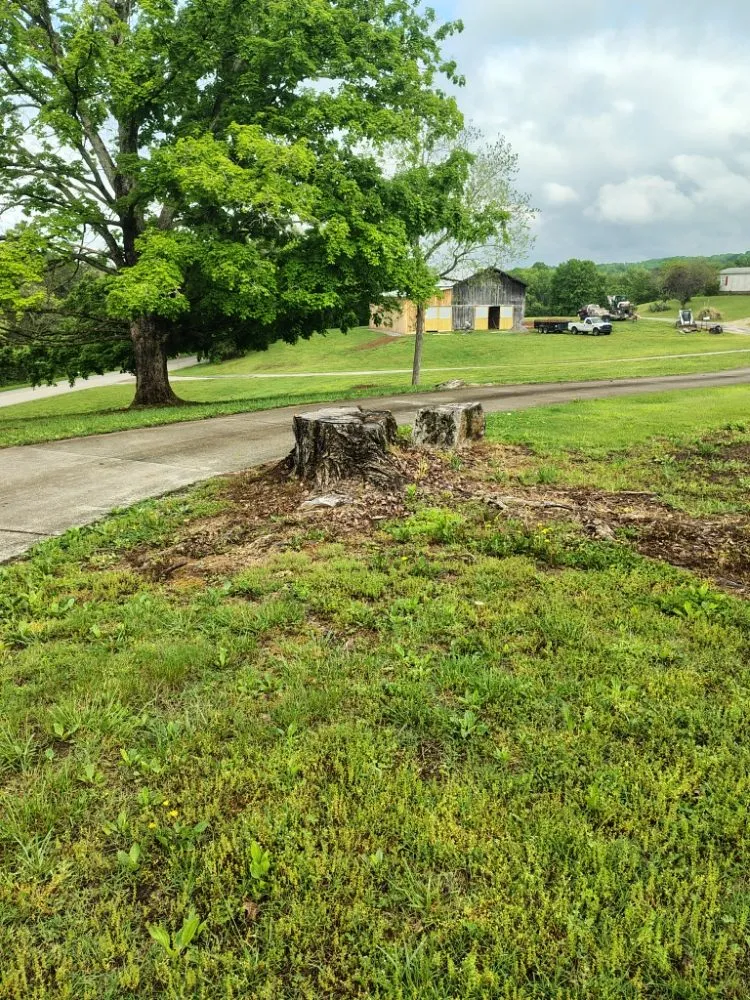 Top-rated outdoor landscaping experts serving Clinton, TN - LS Lawn and Stump