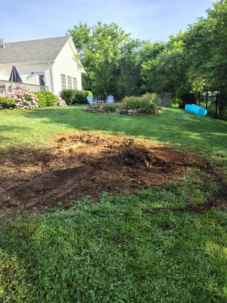 Local landscape design in Clinton, TN - LS Lawn and Stump