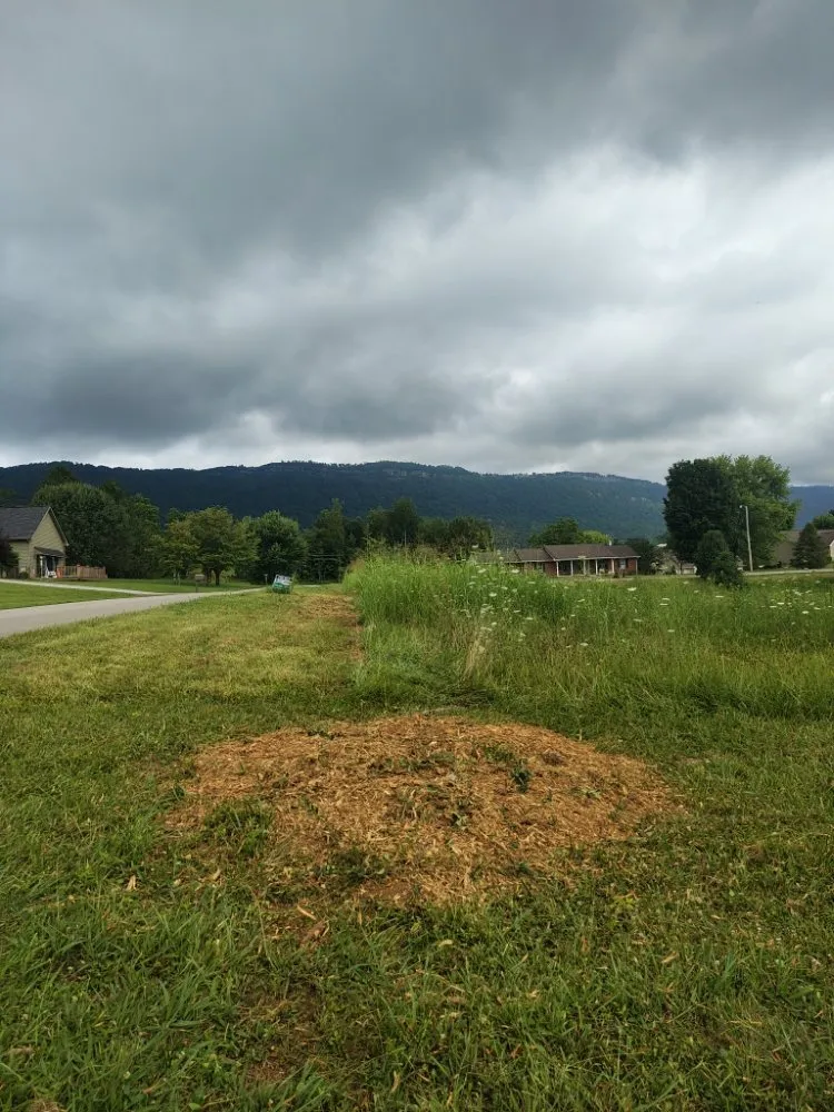 Trusted yard cleanup service in Clinton, TN - LS Lawn and Stump