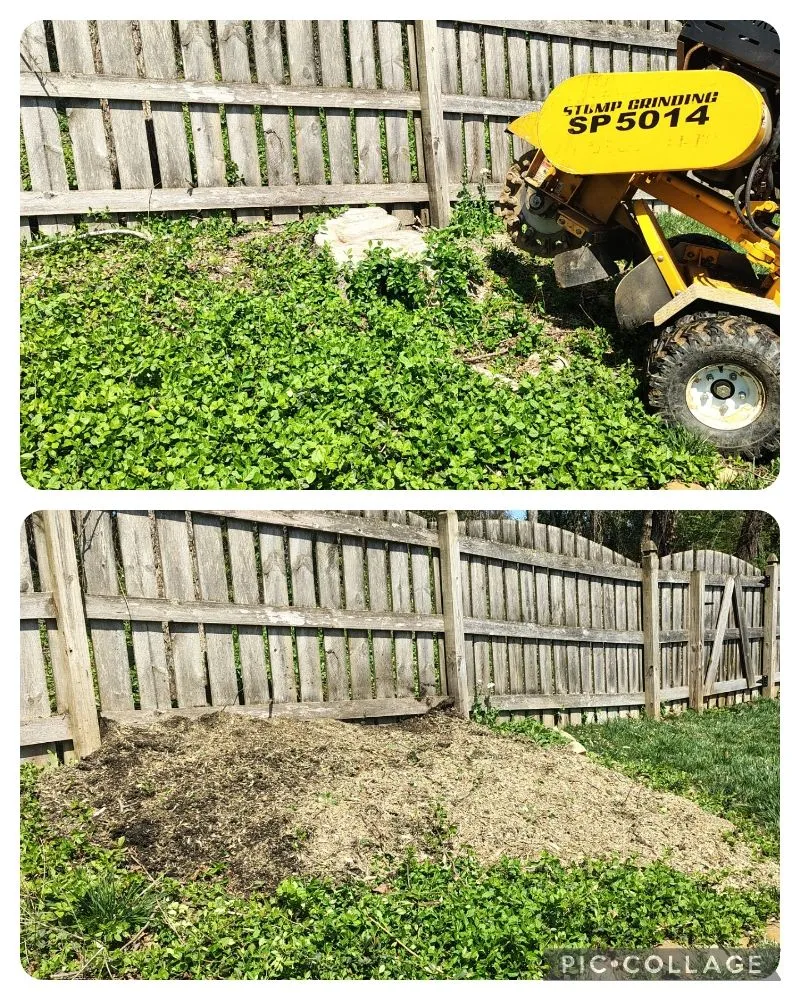 Expert landscape installation for outdoor upgrades in Clinton, TN by LS Lawn and Stump