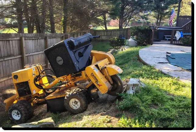 Custom yard cleanup service experts serving Clinton, TN - LS Lawn and Stump
