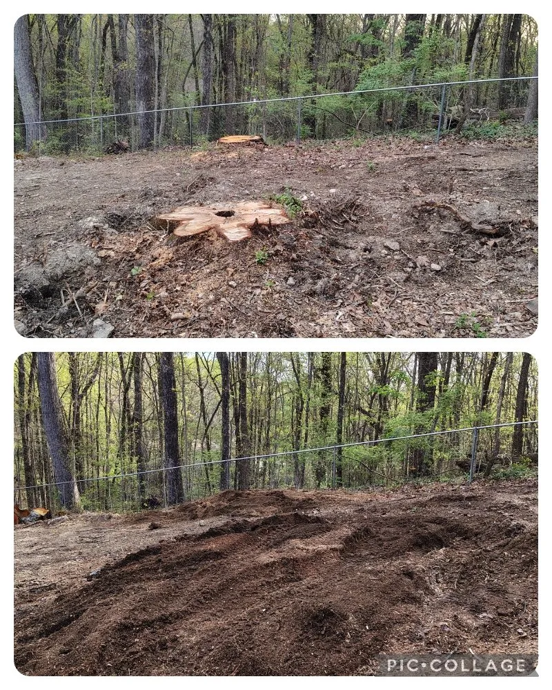 Top-rated lawn care service for homes in Clinton, TN by LS Lawn and Stump