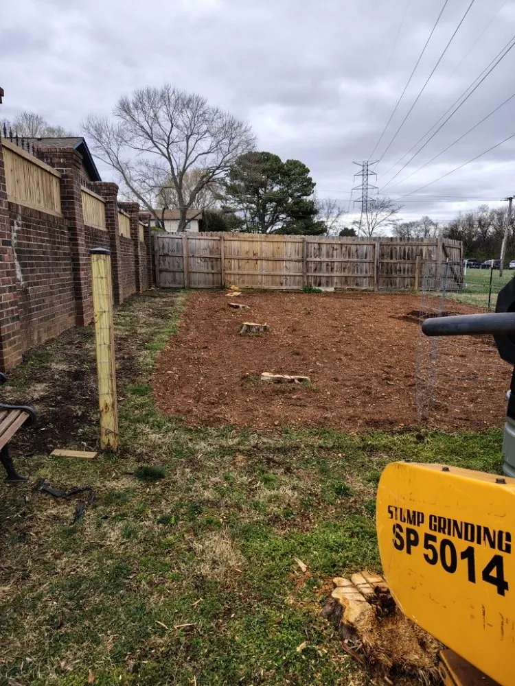 Professional yard maintenance for beautiful yards across Clinton, TN - LS Lawn and Stump