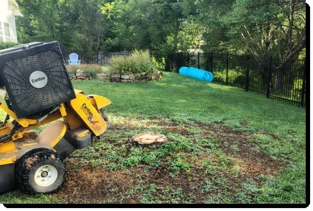 Expert landscaping services in Clinton, TN - LS Lawn and Stump