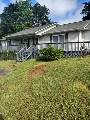 LS Lawn and Stump Logo