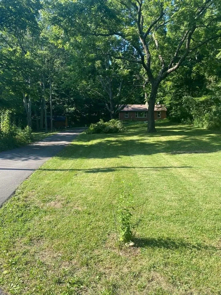 Affordable yard cleanup service in Washington Court House, OH by L&S Lawn Care And Clean Up Service