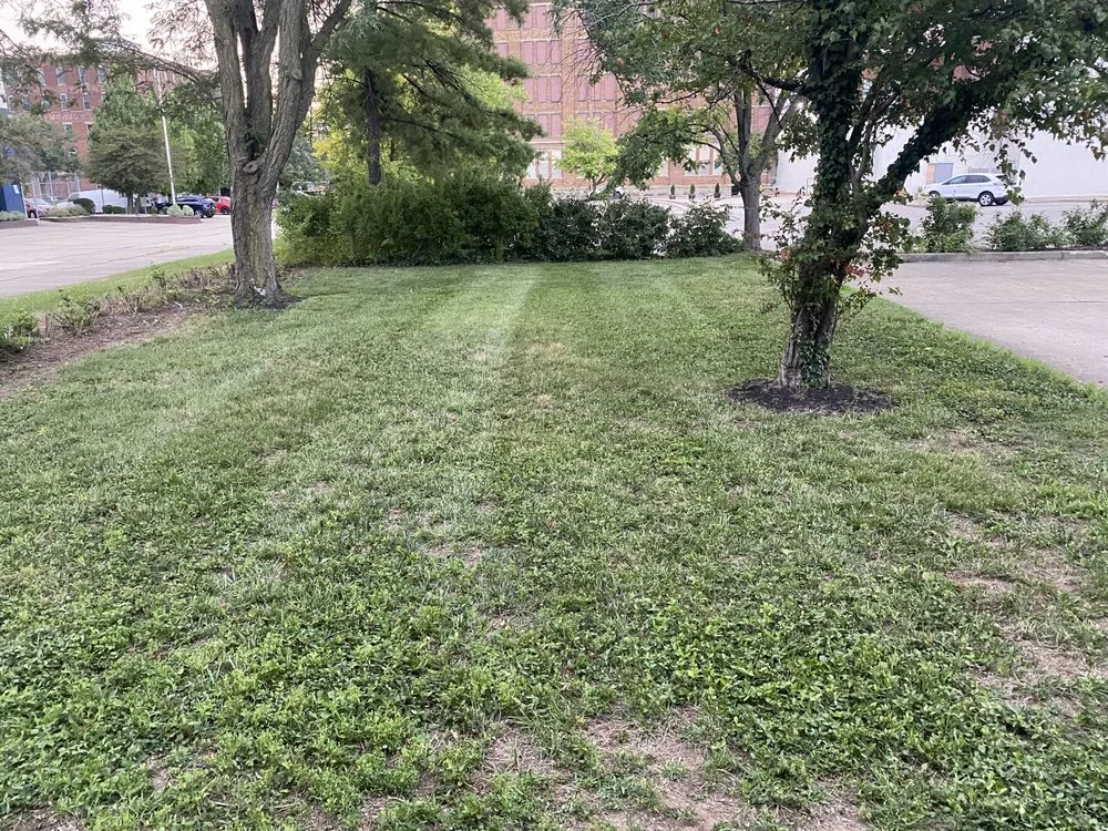 Top-rated yard maintenance in Wilmington, OH by L&S Lawn Care and Clean Up Service