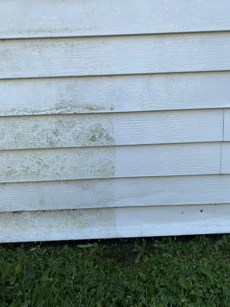 Professional yard cleanup service in Wilmington, OH - L&S Lawn Care and Clean Up Service