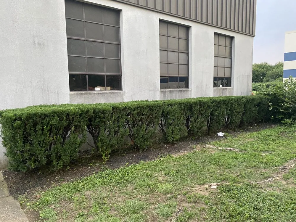 Top-rated yard maintenance experts serving Wilmington, OH - L&S Lawn Care and Clean Up Service