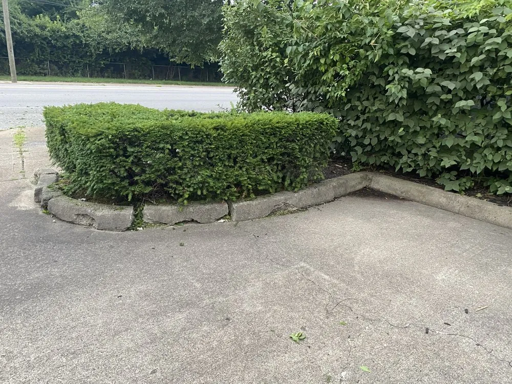 Trusted residential landscaping in Wilmington, OH by L&S Lawn Care and Clean Up Service