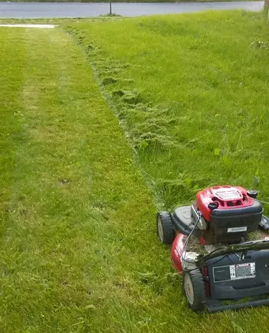 Local residential landscaping experts serving Galion, OH - LS Lawn Care