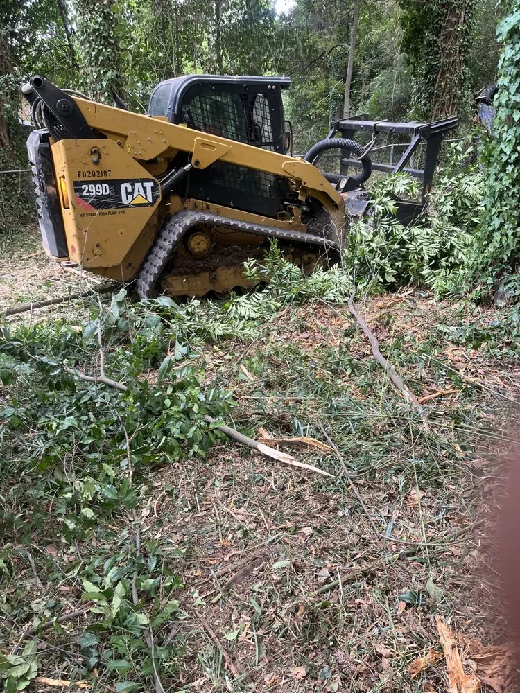 Custom yard maintenance for year-round maintenance in Bonaire, GA by L&S Lawnscapes