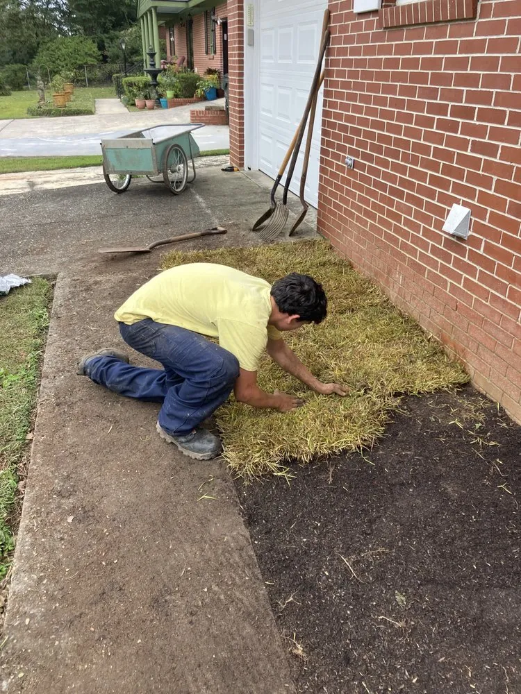 Custom lawn care service for beautiful yards across Bonaire, GA - L&S Lawnscapes