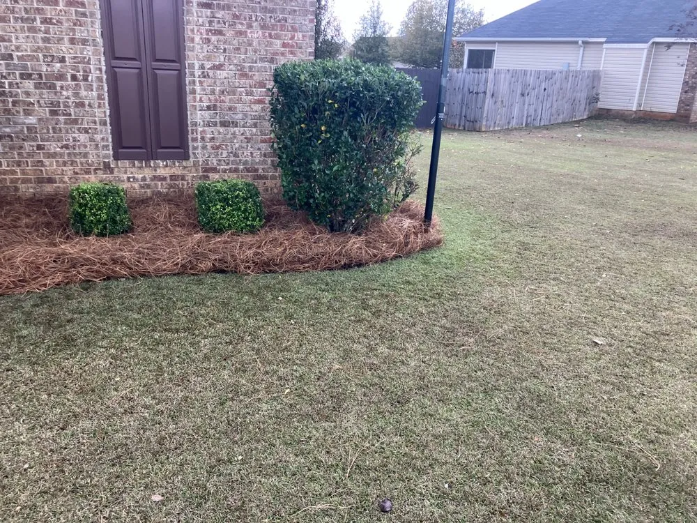 Affordable landscape design for beautiful yards in Bonaire, GA by L&S Lawnscapes