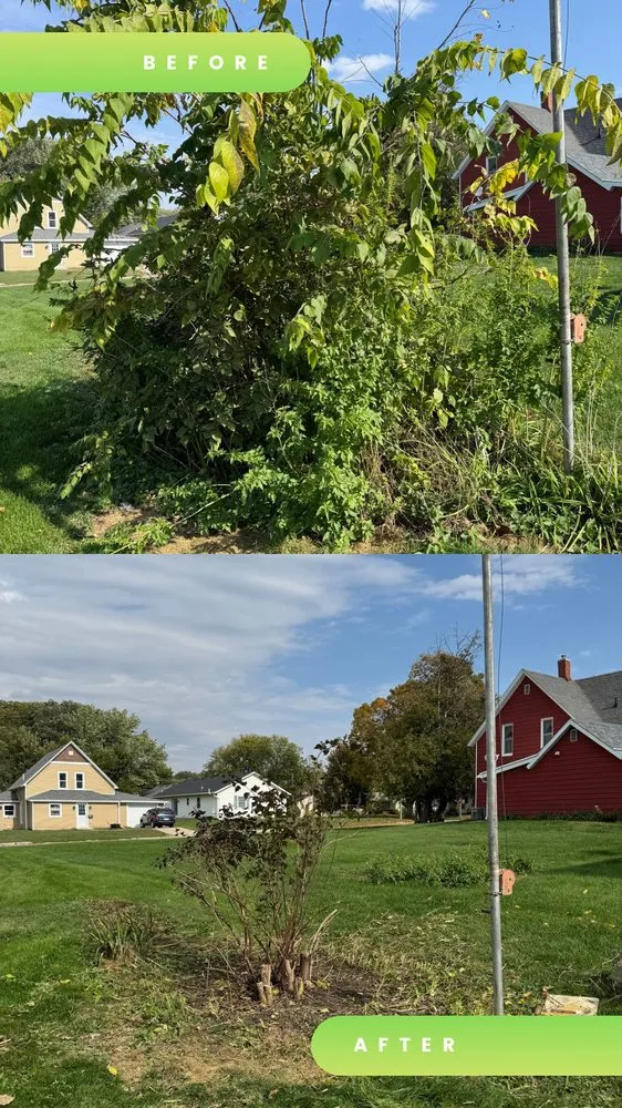 Top-rated landscape installation for year-round maintenance in West Des Moines, IA by L&S Outdoor Services