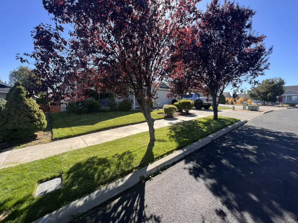 Affordable yard cleanup service for beautiful yards across Redmond, OR - LS Property Services