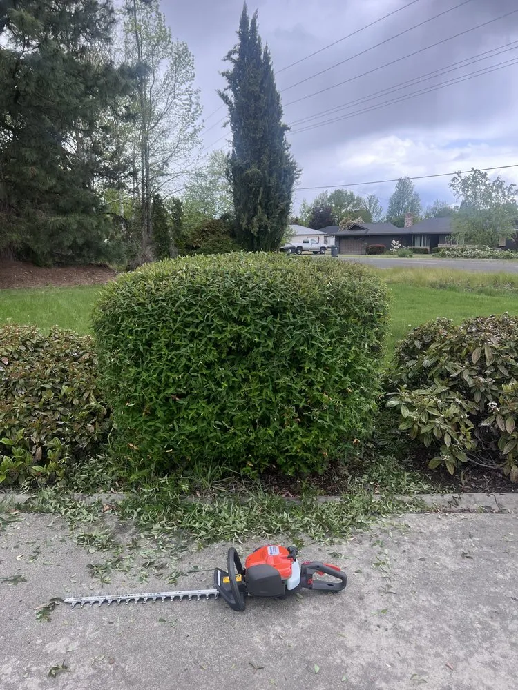 Top-rated yard cleanup service in Redmond, OR - LS Property Services