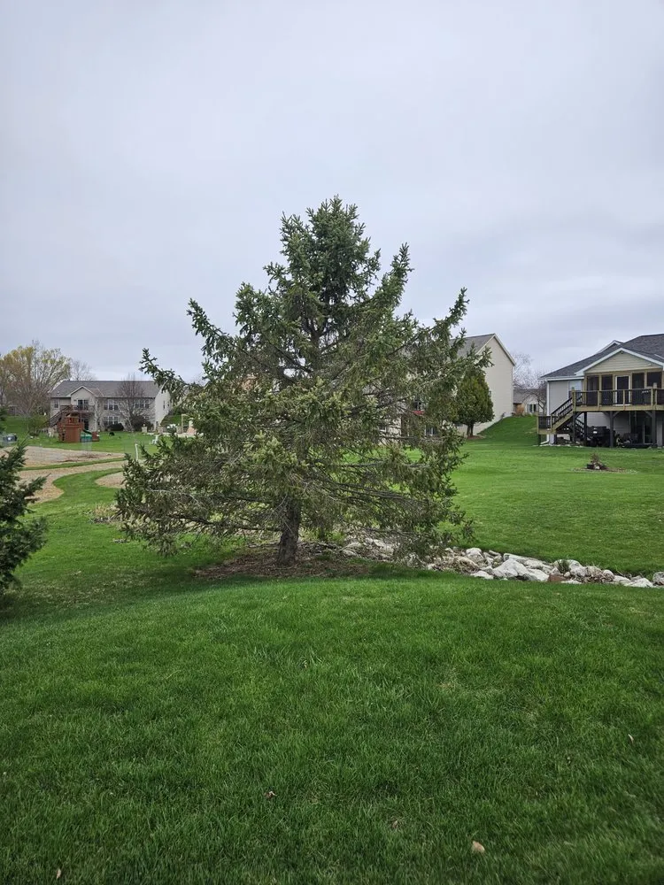 Top-rated landscaping services in Hartford, WI - LS Services