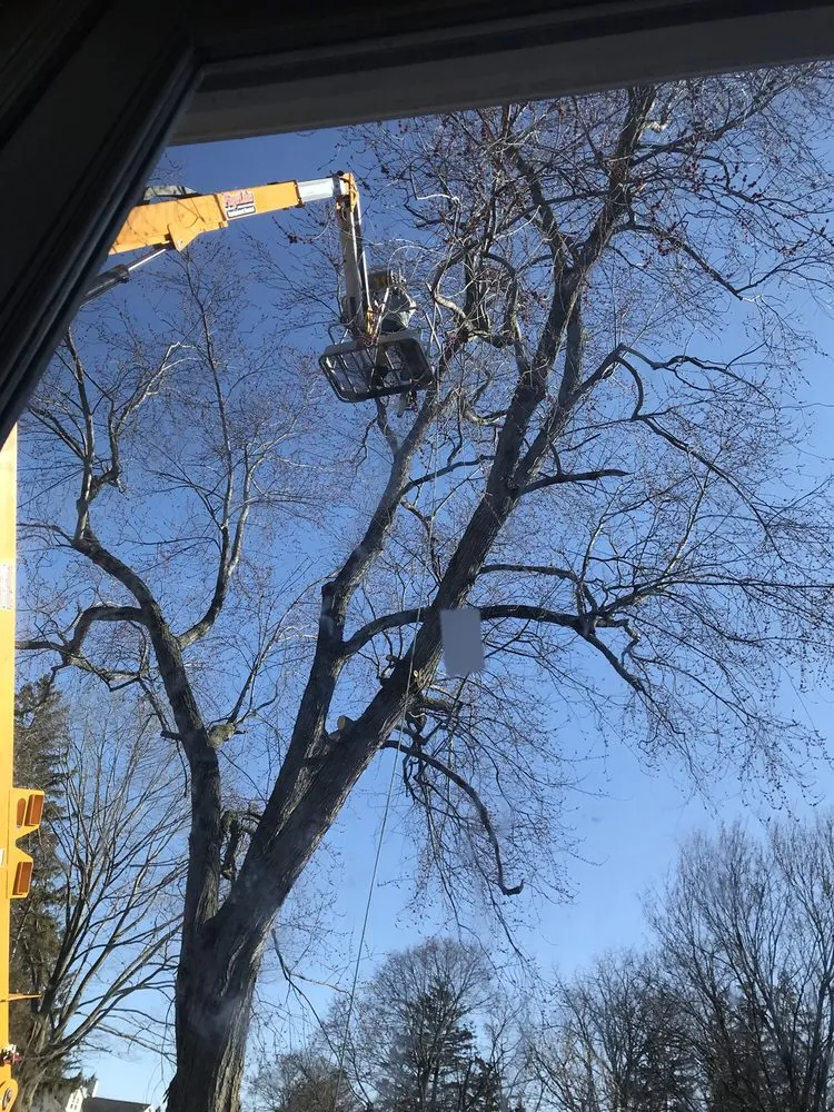 Custom lawn care service for year-round maintenance in Waterloo, NY by L&S Services