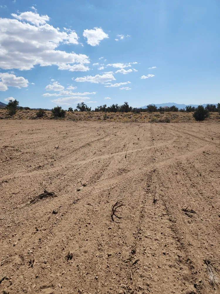 Affordable lawn care service for residential properties in Kingman, AZ by LS Tractor & Backhoe Services