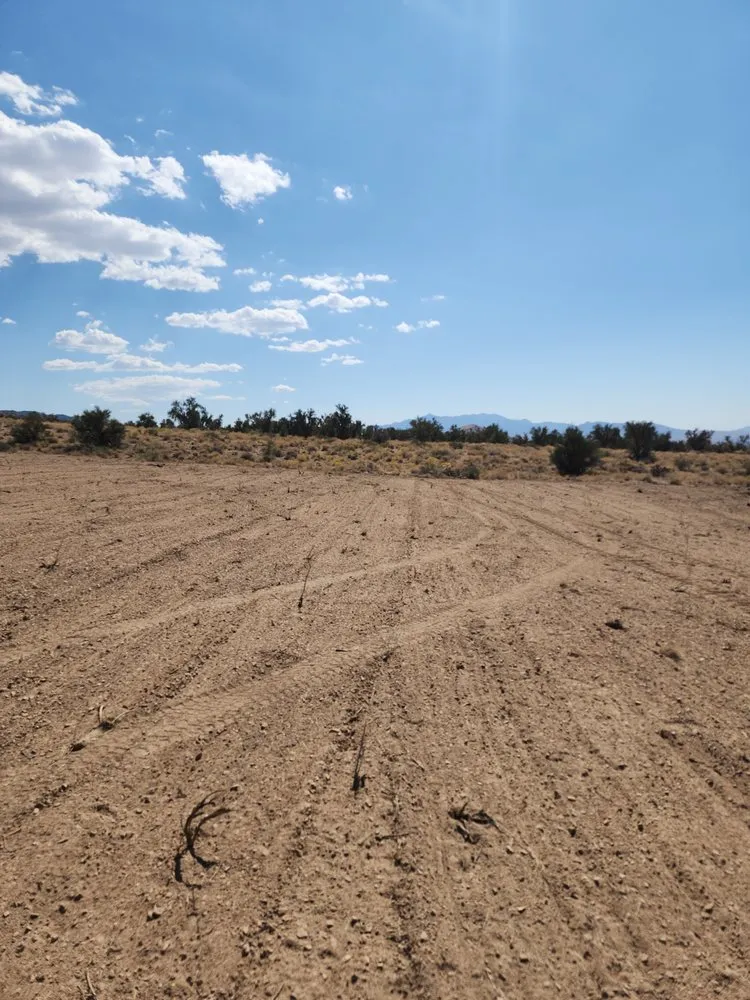 Reliable outdoor landscaping for year-round maintenance across Kingman, AZ - LS Tractor & Backhoe Services