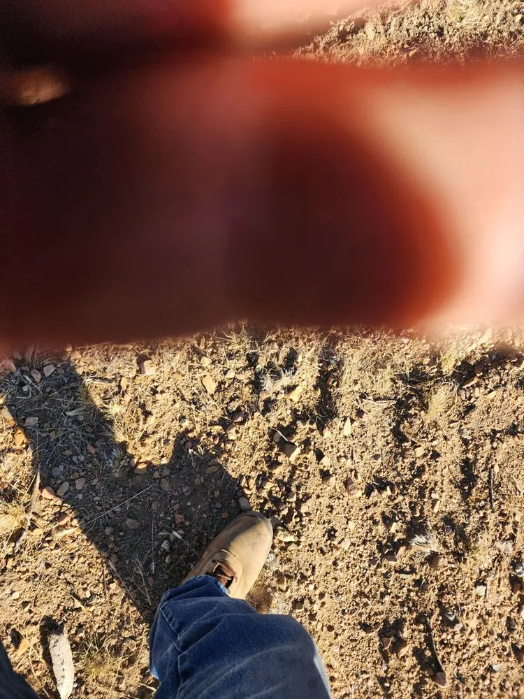 Top-rated landscape installation in Kingman, AZ by LS Tractor & Backhoe Services