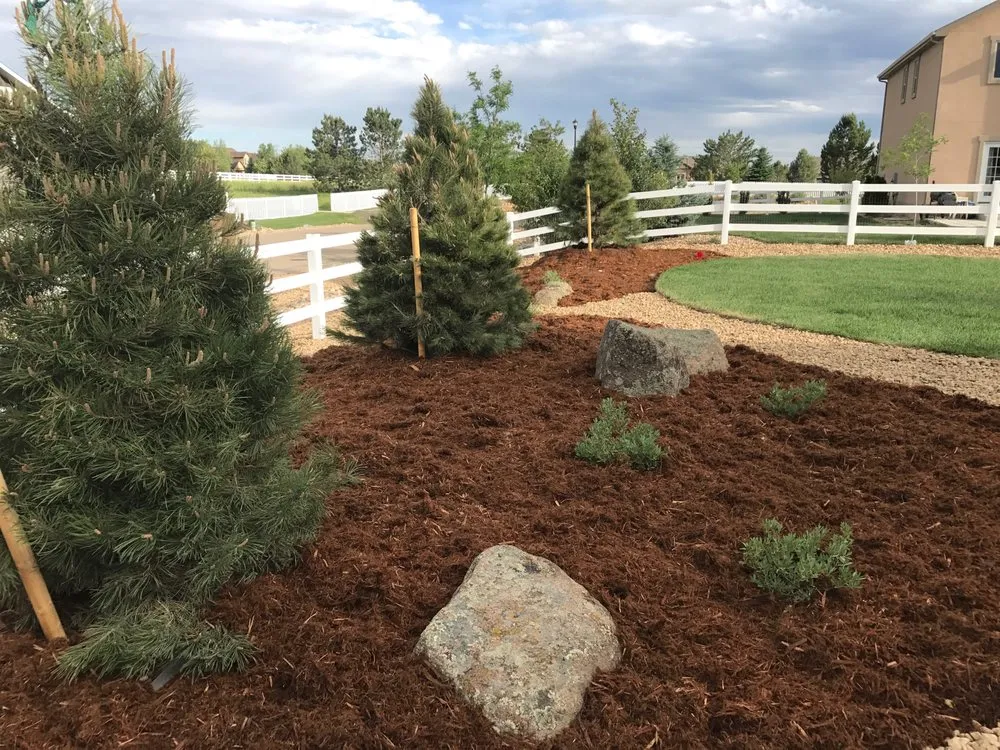 Local yard cleanup service experts serving Longmont, CO - LS Underground