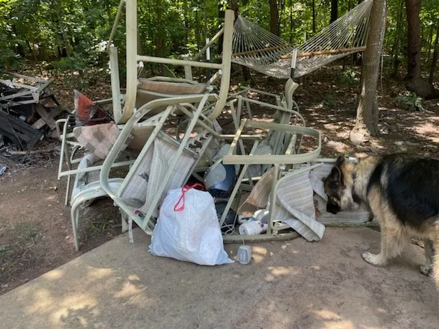 Top-rated landscape installation for year-round maintenance across Charlotte, NC - LSE - Lawn Services Etc