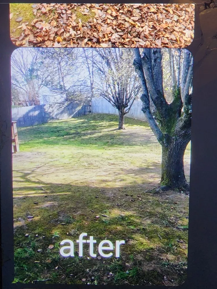 Trusted yard cleanup service experts serving Charlotte, NC - LSE - Lawn Services Etc