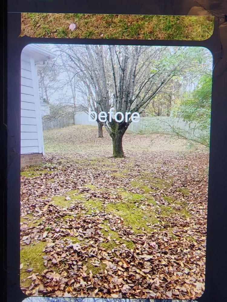 Affordable lawn care service for outdoor upgrades across Charlotte, NC - LSE - Lawn Services Etc