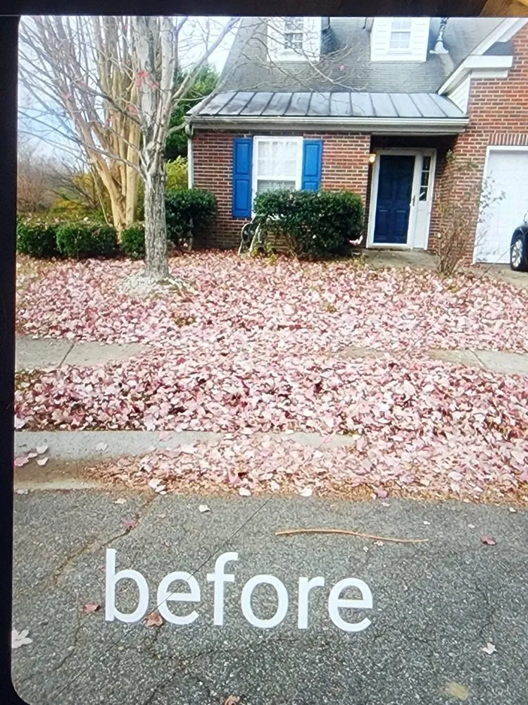 Expert outdoor landscaping for beautiful yards in Charlotte, NC by LSE - Lawn Services Etc