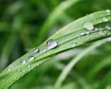 Custom outdoor landscaping in Hughesville, MD - LSL Lawn Service