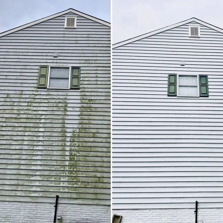 Reliable landscape installation in Festus, MO by LSMT External Services