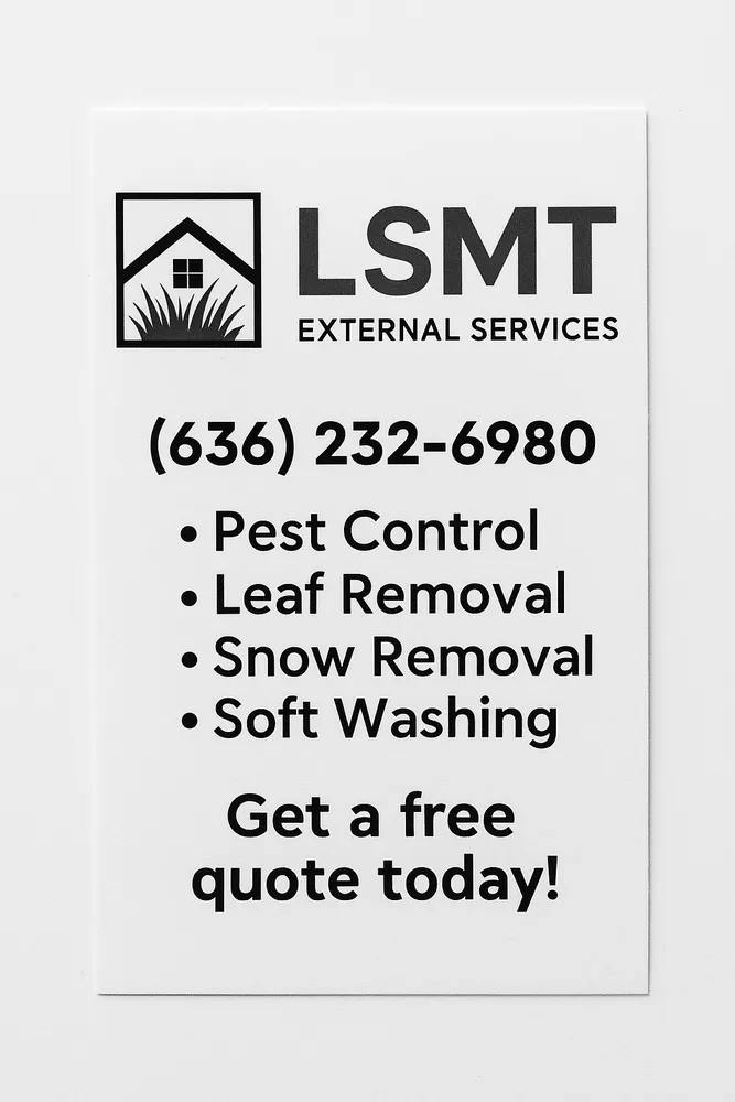 Professional landscape design in Festus, MO by LSMT External Services