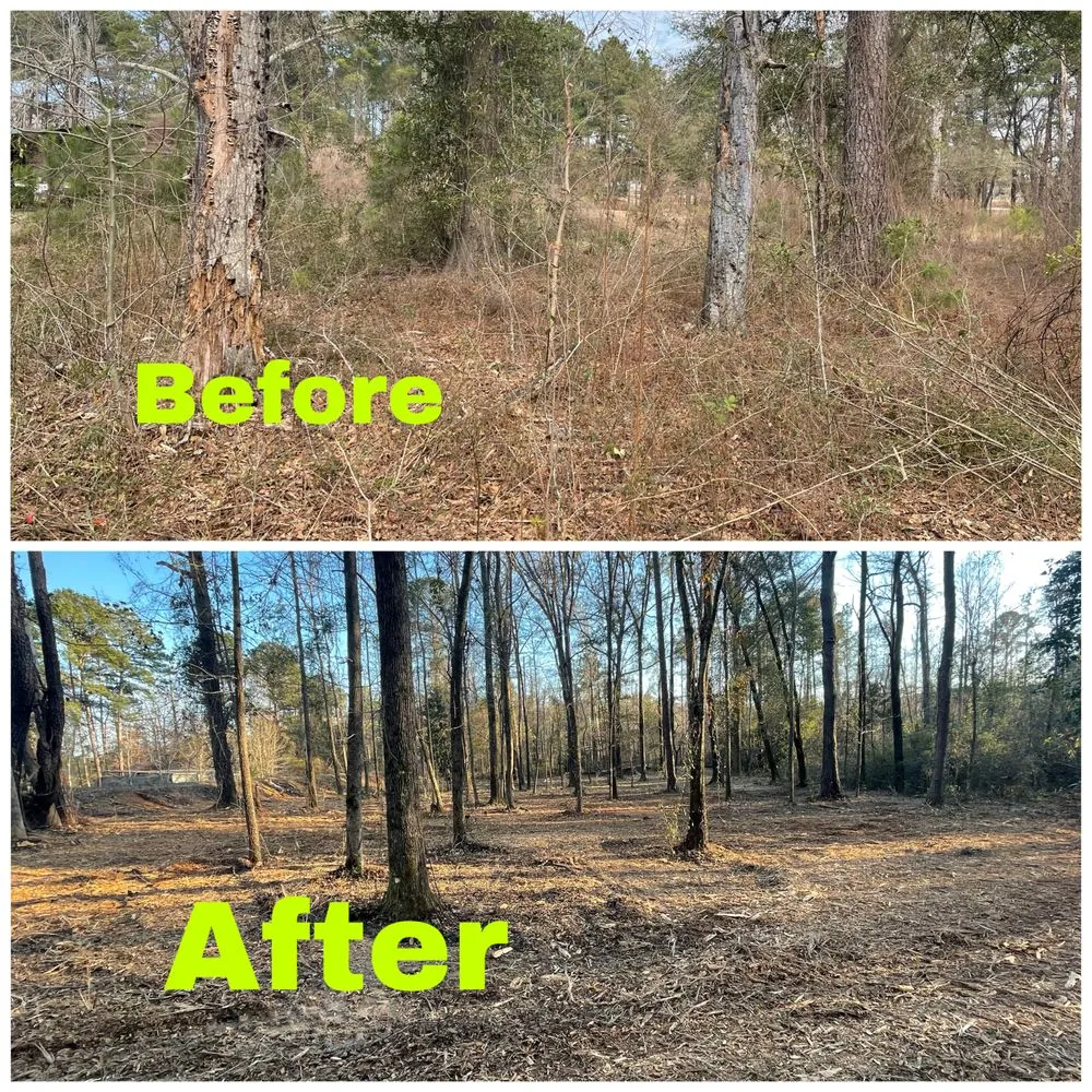 Top-rated landscape installation in Headland, AL by Lsr Forestry Mulching
