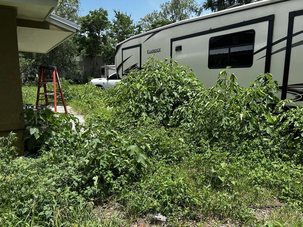 Trusted outdoor landscaping experts serving Ocala, FL - LST Services