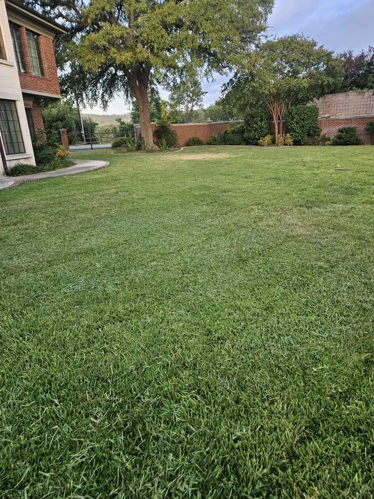 Trusted yard cleanup service in Ingram, TX by L.T landscaping & pressure washing