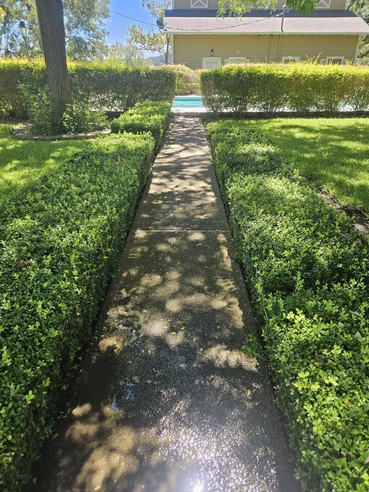 Affordable landscaping services for outdoor upgrades in Ingram, TX by L.T landscaping & pressure washing