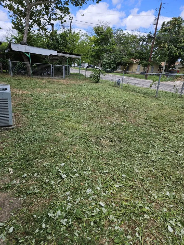 Professional landscape installation in Ingram, TX by L.T landscaping & pressure washing