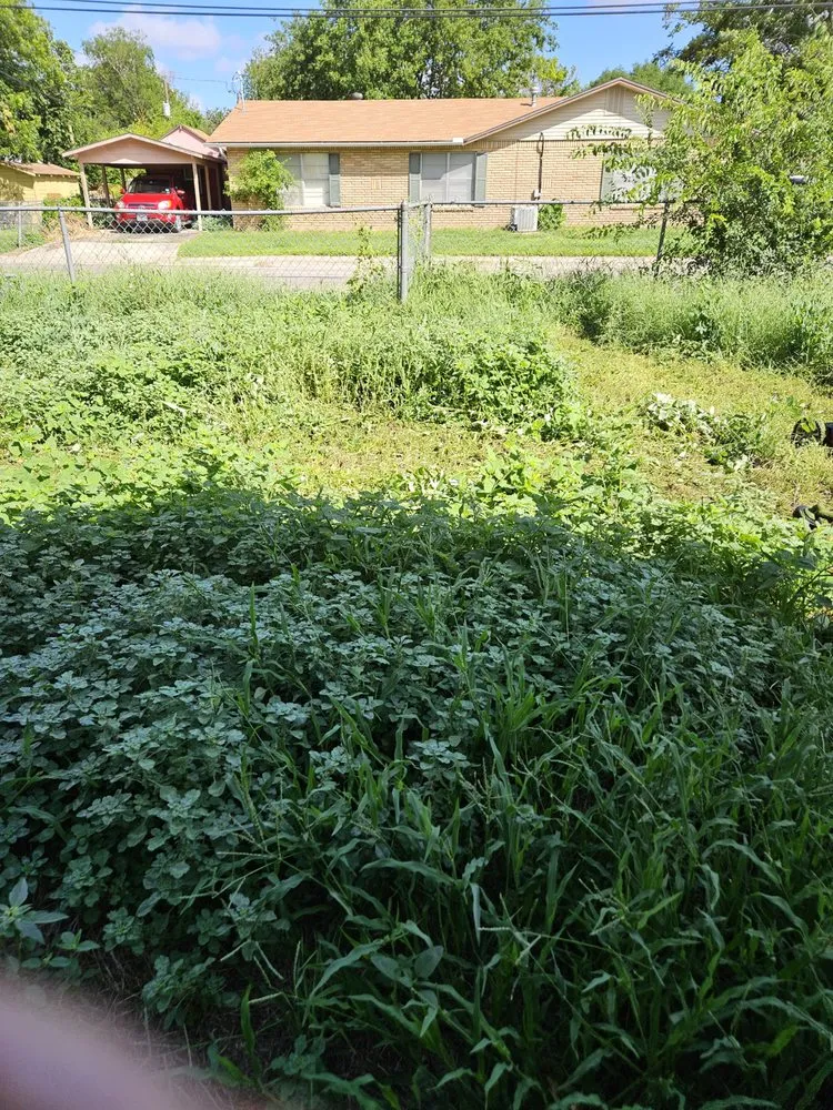 Reliable outdoor landscaping for residential properties across Ingram, TX - L.T landscaping & pressure washing