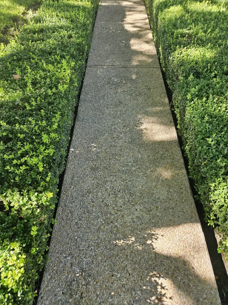 Trusted landscape design for residential properties in Ingram, TX by L.T landscaping & pressure washing