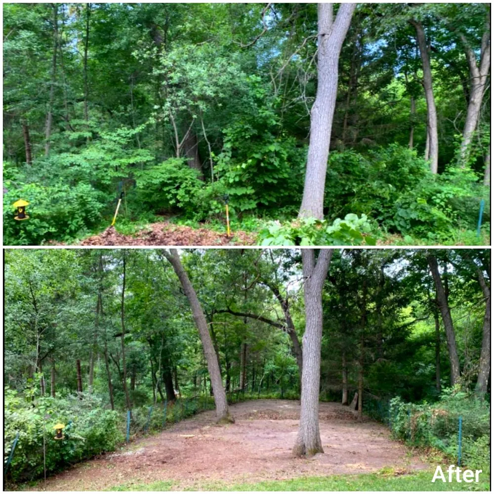 Custom residential landscaping for homes in Janesville, WI by LT Lawn Services