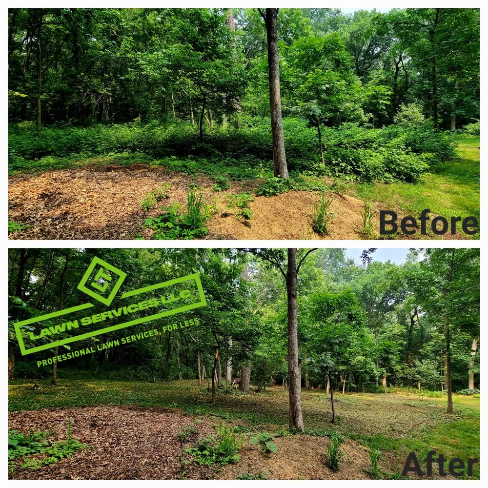 Expert landscape design in Janesville, WI - LT Lawn Services