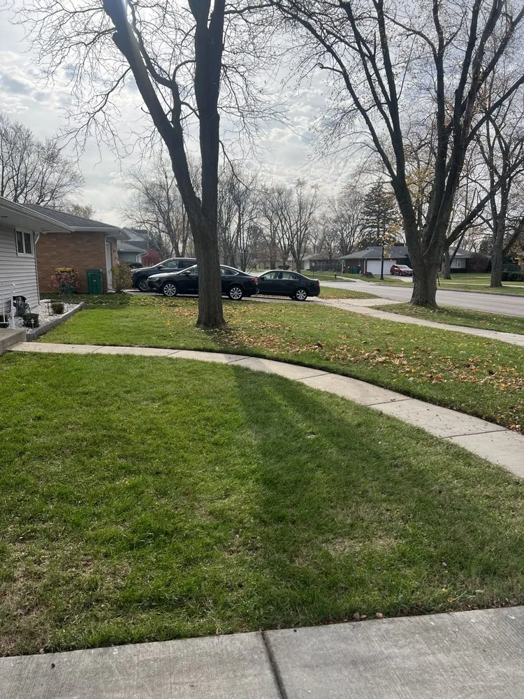 Local yard maintenance for homes in Joliet, IL by LT Services