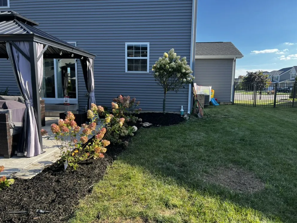 Affordable yard cleanup service for year-round maintenance across Joliet, IL - LT Services