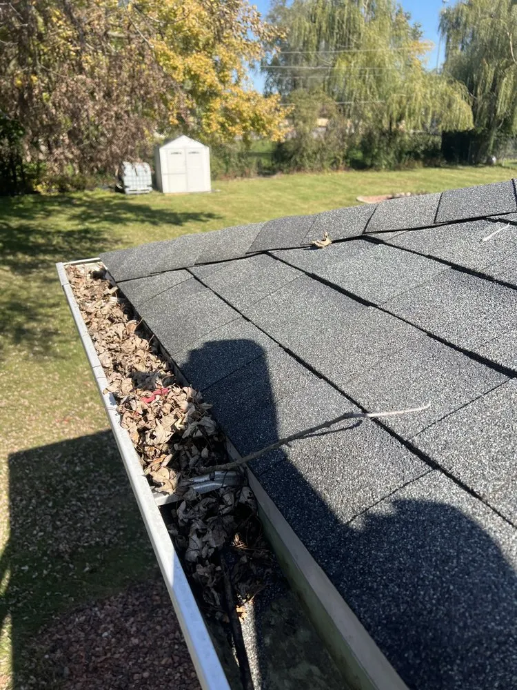 Expert lawn mowing service with custom design across Joliet, IL - LT Services