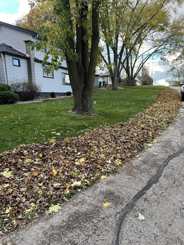 Affordable landscape design experts serving Joliet, IL - LT Services