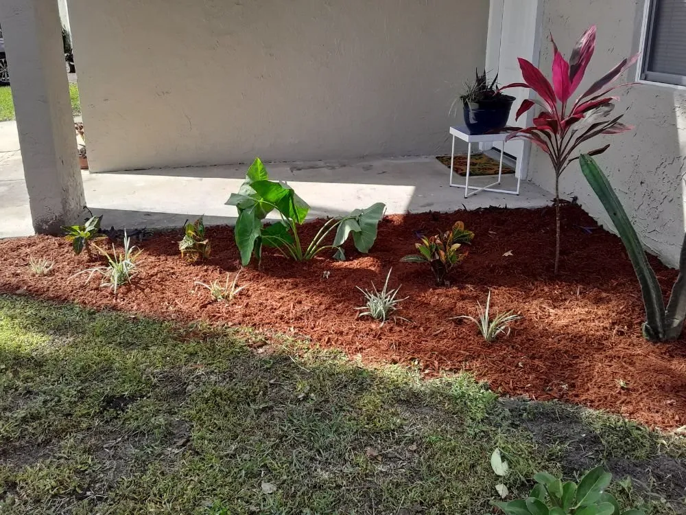 Trusted lawn mowing service in Hudson, FL - L&T tree service