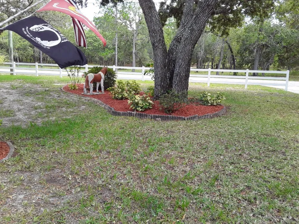 Custom yard cleanup service in Hudson, FL - L&T tree service